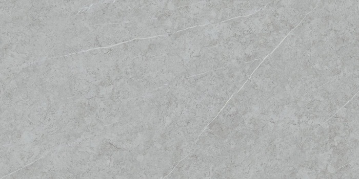 Paradise Silver — porcelain tile face